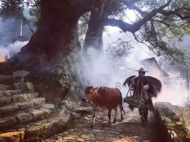 油漆墙面