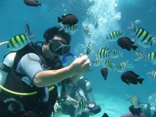 威海海警局会同多部门开展“反走私、偷渡”普法宣传