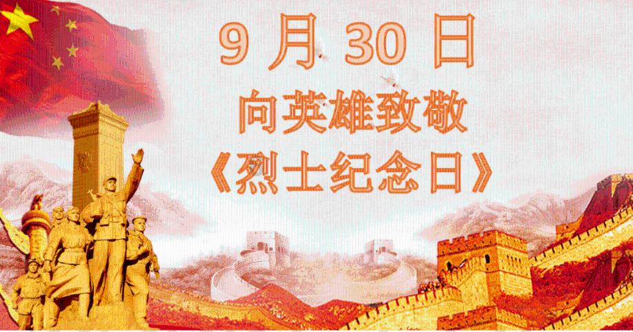 敏捷的白球