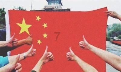 可爱的小考拉