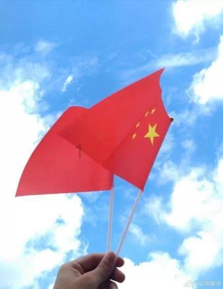 马蹄莲是什么时候开放？游戏画面