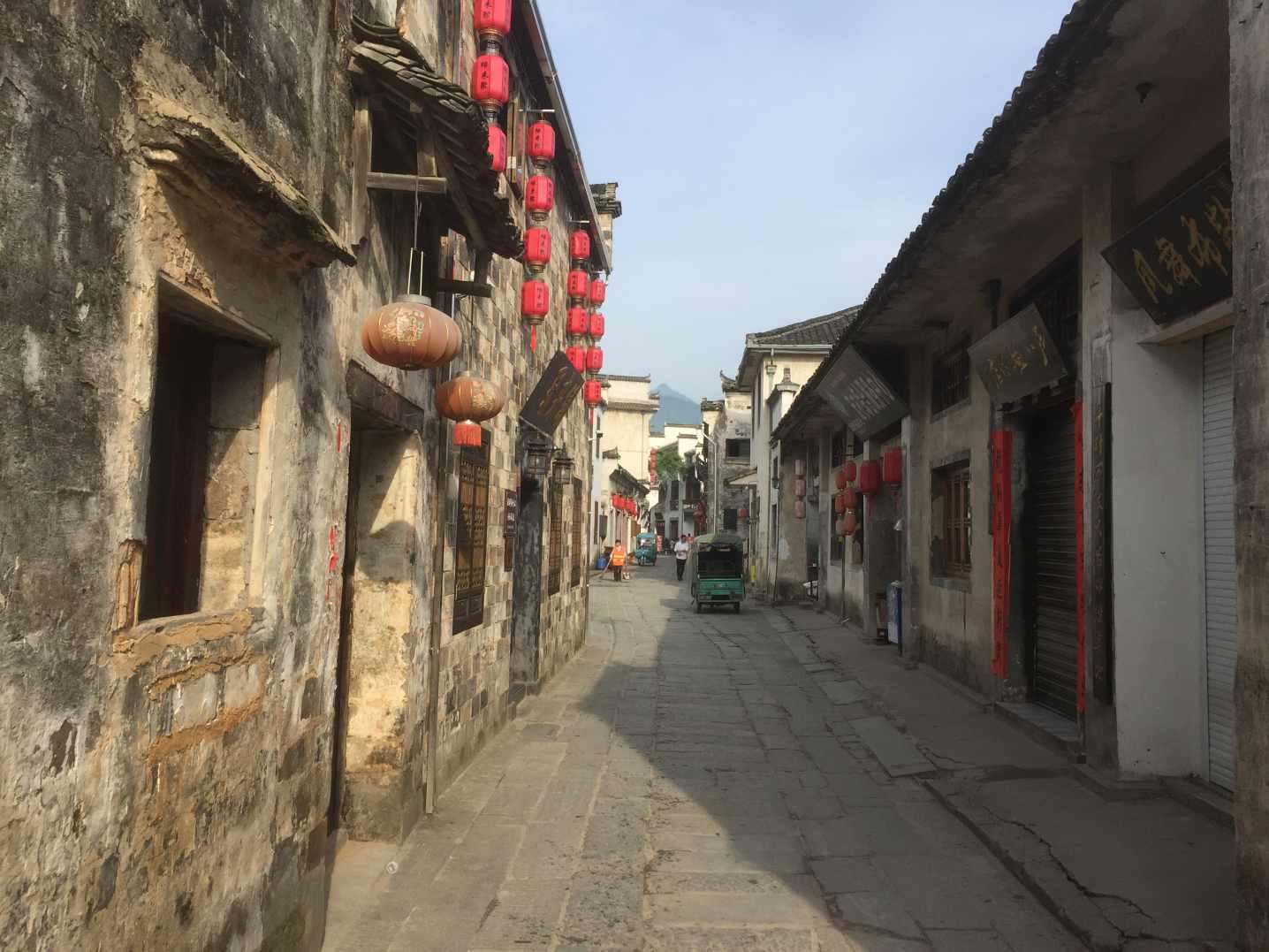 天鹅森林逃脱