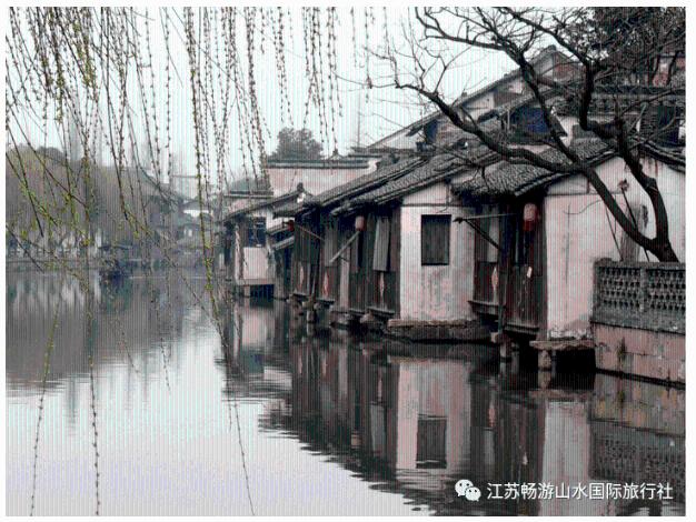 “花蛇”潘南奎沦落到去酒吧打工让人心酸，为何她会落到这般田地？