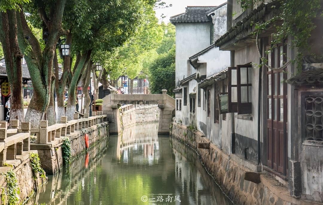 逃离森林边缘