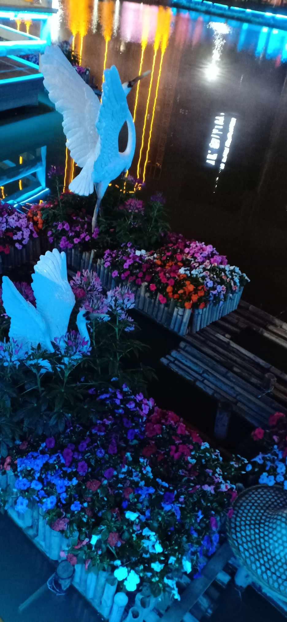 郭富城妻子方媛外出打工,首次参加综艺节目,亲自道出工作原因